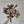 FLOWERS-ROSES- 15''T Silk Spring Rose Bouquet,13 Single Stem Roses Bunch - Pleasant Beach Living