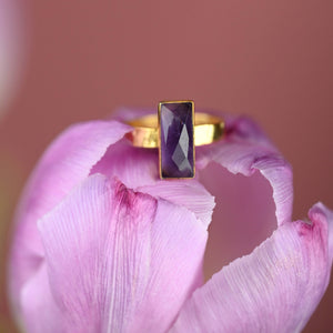 JEWELRY-RING, Amethyst  Rectangle Ring on a Hand Hammered Golden Band - Pleasant Beach Living