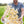 KITCHEN- FOOD- SAN JUAN ISLAND, WA, Popcorn Seasoning Blend