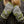 CLOTHING-Granchester GLOVELESS MITTENS-Handwarmer - Pleasant Beach Living