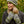 CLOTHING-Granchester GLOVELESS MITTENS-Handwarmer - Pleasant Beach Living