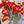 Colorful 22-inch silk poppy spray with flocked floral stem, vibrant and lifelike floral decoration, by Sweet Home Deco.
