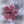 Tiny heart-shaped soaps from La Belle France in a sheer organza gift bag, perfect for gifting or decorative display.