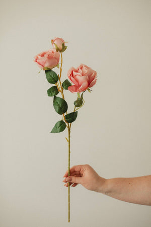 FLOWER-Italian Rose - Pleasant Beach Living