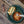 DM Merchandising Bunkhouse Pocket Picnic Camp Utensil, fold-out camping utensil with multiple tools, compact and portable for outdoor cooking.