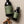HEALTH-Winter Wellness Elderberry Elixir (COLD AND FLUE SEASON PREVENTATIVE) - Pleasant Beach Living