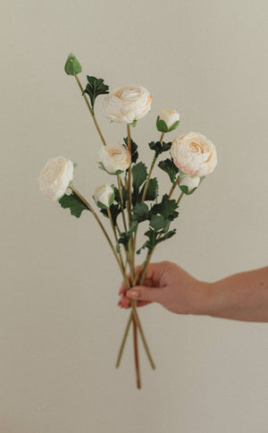 Eucalypt Co. Ranunculus flower with layered petals in soft pink and white, close-up view highlighting delicate floral details.