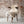 SHEEPSKIN- Texal Sheepskin, GRS