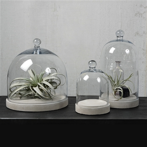 CANDLES- Glass Dome - Sm - Clear - Pleasant Beach Living