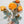 FLOWERS-25'' Silk Rose Flower Single Spray Home/Wedding Decor Orange - Pleasant Beach Living