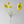Colorful 22-inch silk poppy floral stem with flocked petals, vibrant decorative floral spray from Sweet Home Deco.