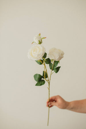 FLOWER-Italian Rose - Pleasant Beach Living