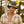 Rugged Mountain Trail Hat