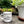Bainbridge Island, WA 13oz Mug