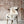 SHEEPSKIN- Texal Sheepskin, GRS