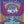 BOOK- MUSIC-Complete Annotated Grateful Dead Lyrics by - Pleasant Beach Living