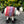 Hand-felted wool sheep decor from Pachamama Ltd's DECOR-Tank Top Tracey, a cute wool sheep home decoration on a pleasant beach setting.