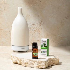 Cliganic ceramic aromatherapy essential oil diffuser in white, with a sleek design and a small opening for mist and aroma release.