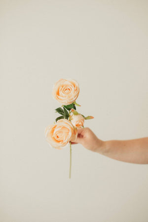 FLOWER-Italian Rose - Pleasant Beach Living