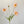 Colorful 22-inch silk poppy spray with flocked floral stem, featuring vibrant, realistic silk flowers for decorative arrangements.