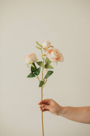 FLOWER-Italian Rose - Pleasant Beach Living