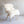 SHEEPSKIN- Texel sheepskin white - Pleasant Beach Living