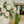 FLOWER-English Rose (SILK) - Pleasant Beach Living