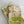 Set of four Dragonfly Garden cloth dinner and cocktail napkins by Dot and Army, featuring floral and dragonfly patterns.
