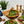 KITCHEN- BOWL- Olive Wood Family Salad Bowl- 11