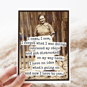 Funny greeting card from Raven's Rest Studio featuring the phrase "I Came, I Saw, I Forgot What I Was Doing" with humorous design.