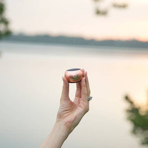 SPEAKER- U Mini Portable Bluetooth Speaker Classic Rose Gold - Pleasant Beach Living