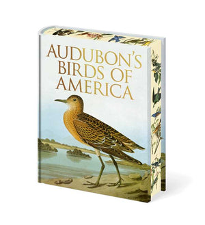BOOK- Audubon's Birds of America