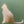 GREETING CARD- Green Cat Card - 4.25 x 5.5