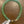 JEWELRY- Crystal Bracelets- Shades of Green - Pleasant Beach Living