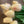 FLOWERS-Latex Real Touch Tulips- Set of 10 - Pleasant Beach Living