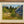 ART- Kathy Levine, Local Artist, Oil Painting, 