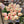 FLOWERS-Latex Real Touch Tulips- Set of 10 - Pleasant Beach Living