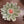 Small flower-shaped dinner plate by CCOI with reactive glaze finish, showcasing vibrant floral design and glossy surface.