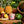 Pink candle among pineapples, passion fruits, and a green fruit on a wooden surface with foliage.