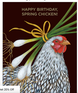 Spring Chicken birthday greeting card by HnC featuring foil accents and colorful spring-themed illustration.