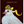 GREETING CARD- Cheers to You Dove Card with foil - A2 - 4.25 x 5.5