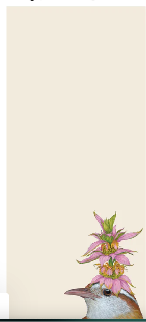 NOTEPAD-Carolina Wren List Pad - Pad of 30 Sheets - Pleasant Beach Living
