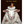 HnC get well sheep greeting card with cute sheep illustration and cheerful message to wish someone a speedy recovery.