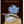 GREETING CARD- Hello Wren Card Gold Foil - Pleasant Beach Living