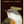 GREETING CARD- Well Wishes Warbler Card Gold Foil - Pleasant Beach Living