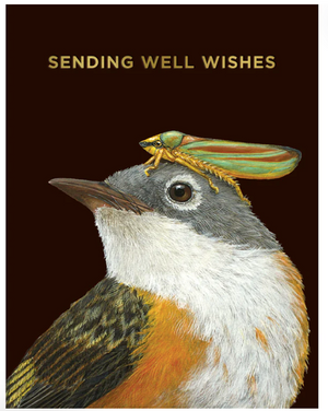 GREETING CARD- Well Wishes Warbler Card Gold Foil - Pleasant Beach Living