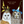 HnC greeting card featuring adorable owls with foil accents, perfect for celebrating best friends.