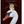 GREETING CARD- Macaroon Swan Card with foil - Pleasant Beach Living