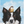 GREETING CARD- Luther and Pip Card - Pleasant Beach Living