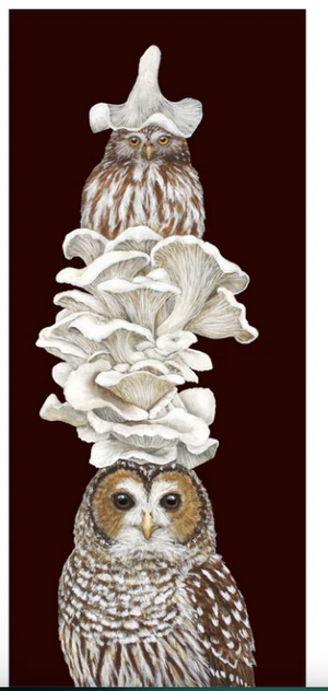 HnC Shroom With a View greeting card featuring colorful mushroom illustrations and a scenic view design.
